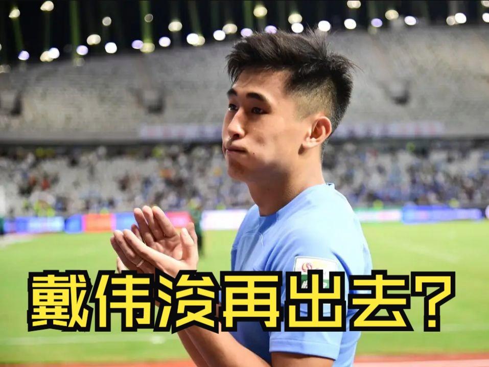 杏彩体育官网入口-下一个戴伟浚！20岁恒大青训新星将留洋荷乙：中甲多年的简单介绍